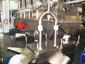 Food Flavor Granulating Drying Machine